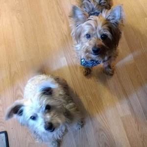 Meet your Posher, Debra